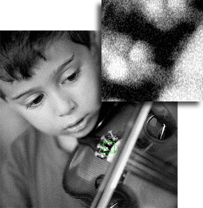 example of source image after processing in TrueGrain